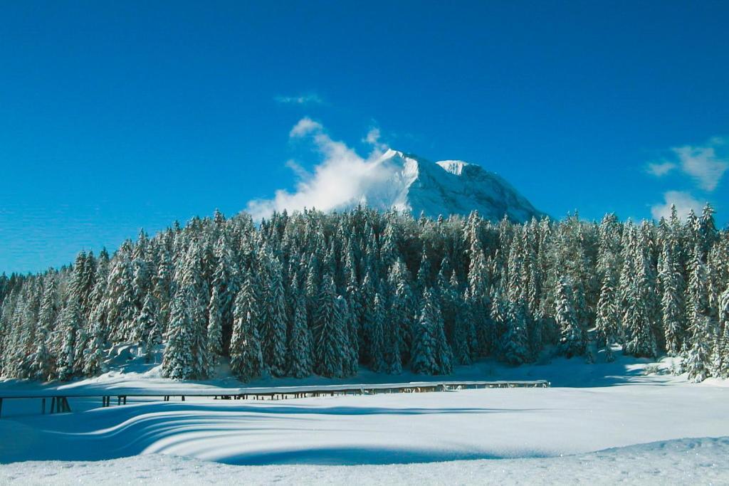 Hotel Hochland Leutasch Extérieur photo